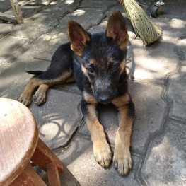 D a65d8fae 6f70 4c96 ae2f 165c5997c86f