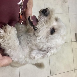 D 871a6235 184c 4dde ae66 584d1739dc97