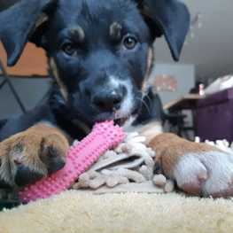 D dfc36c5f d493 4267 8eaa df3a8c270219