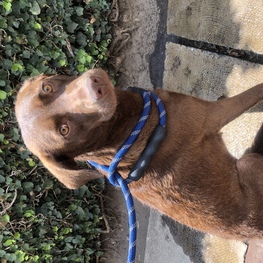 D d1d49af0 6b1b 4594 b993 730a61b2c9a2