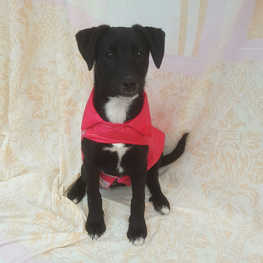 D 69b7c884 a880 4990 ac81 02237b3c42eb