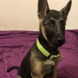 D e58df908 5c2e 43e7 a4e8 80807e3534a3