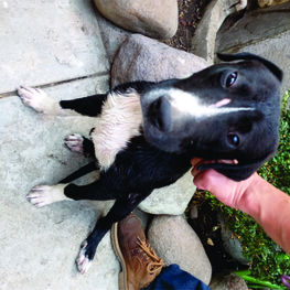 D 015207b5 514a 4826 bdce f934706ebb66