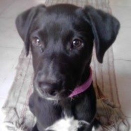 D a6efe029 e083 4d55 b587 22a57a99c534