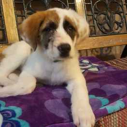 D 6fc31ee5 3af2 4dbb b1e7 d5021c3cc16d