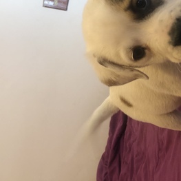 D 5f18f57f e49a 4bf3 8036 5a52018e56db