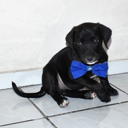 D a735a88a 9be9 4b46 856f ff23b5249c8a