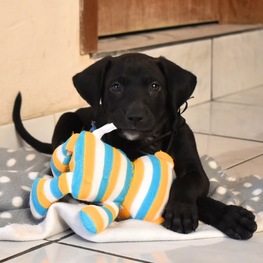 D bcbb45dd cd14 4378 8b30 06745130546e