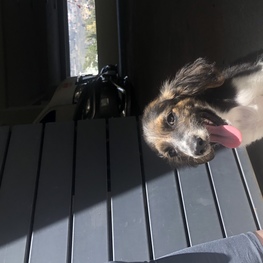 D 66619ccd 8148 42a9 a3af 05d33a08119b