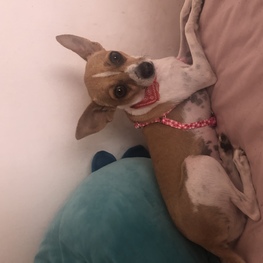 D b042dc56 343a 42df 995e 2ba3ad976a8b