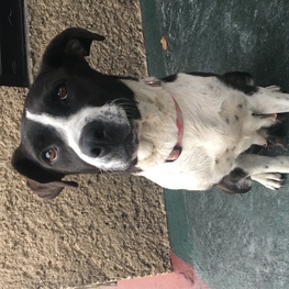 D 74c37472 532d 4f96 ab75 07065fb3be19