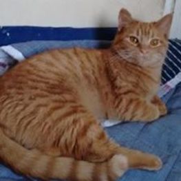 D ff751236 5f07 4e94 8aee 419b02049a92