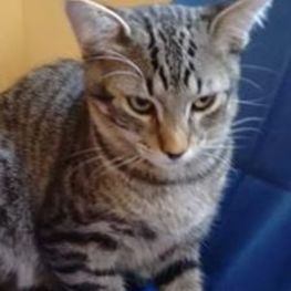 D ba5c97e8 0d45 4c9a be41 03e775abb4a7