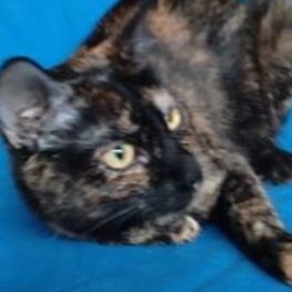 D cd1a0b1a c475 4101 bf7e 4dfcfddc52bd