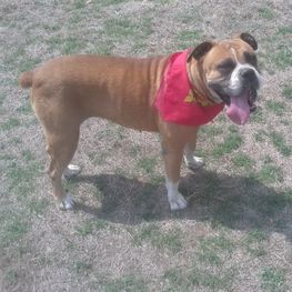 D 157999c8 2e2a 4450 993c 3ca70ce4d870