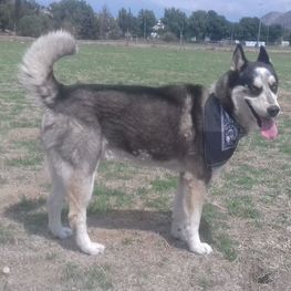 D 66e9320a 2413 4420 b2a2 64c9787ce2b9