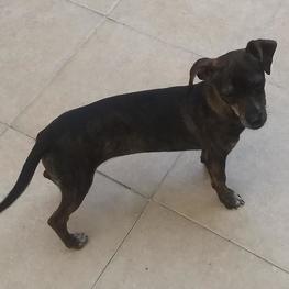 D 525aa842 d17f 42da ab92 4ec35e88a8b8