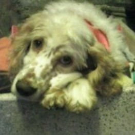 D 3e480eba 82d1 4e47 8902 d8857fa3d06d