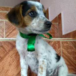 D 019a5429 3ace 4089 9dc9 1941c360176e