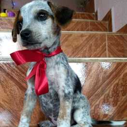 D a1097502 38d5 4a1f 8d4b ada55a0e86e2