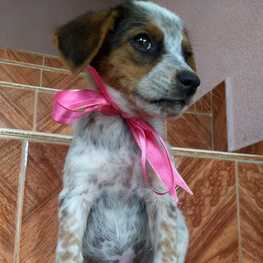 D f31ee439 d0b4 48ca b207 8db256b9f093