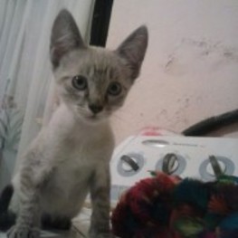 D dc4eb5a0 6964 4b69 82ea 5c1bc80542b7