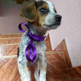 D 5226c932 69ef 4b5e 9e17 6c46e4367723