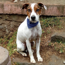 D 8d47b345 be30 4d6e 910c 3eb523aea352