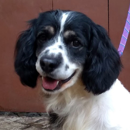 D 6e421832 d5e1 48ed a503 b8aa0e561351