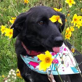 D 8855a9f9 8314 4d62 a6d9 cc6b2c982459