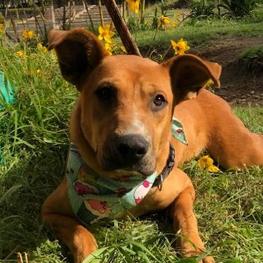 D 7c2f4d4b 76c1 4c0a bafb 768084702282