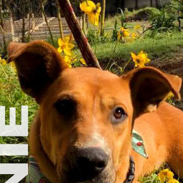 D 90b07122 54c3 44a5 bffc 321a47d51fc2