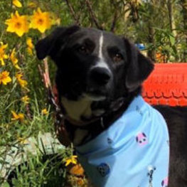 D 82c6bcc4 8487 40c6 97d0 5cf247ccbf53