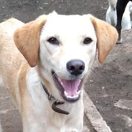 D 2b3862d4 7401 4994 ad45 319554316904