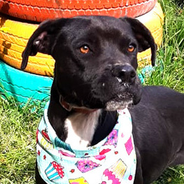 D d89dffb5 bb30 4a1d ba6a e4198d93f54b