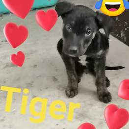 D d443c5b4 aad3 4c73 8ce7 c78001330628