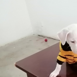 D dd7e38a2 7d30 4c99 b71c 67dac88b0b5b