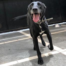 D 14ffadd0 b1b1 4f0c a0b4 e17c12286753