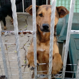 D 49f1fea0 439d 4817 8c7e d9f83b4080d3