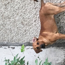 D ca996207 d2e9 4846 9d10 b165c386b33f