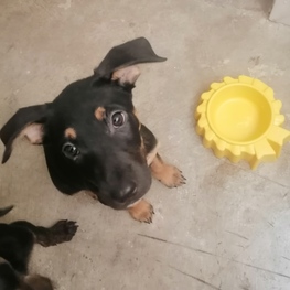 D 1c2fa093 f8f8 41aa 89e5 28102bd1ae59