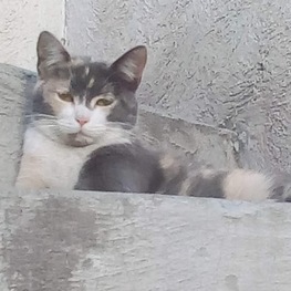 D 487c0acd cde3 4a34 8d26 387320f42b87