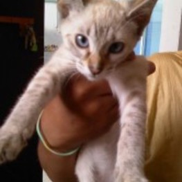 D 5caab465 75ff 4539 a397 f4f49b079494