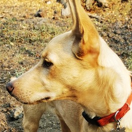 D c7bc82c0 8e04 4d39 bb0d 7bb848f0bffa