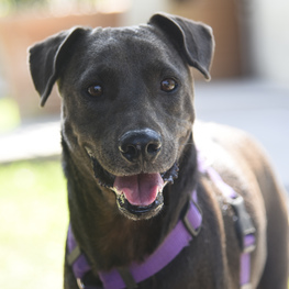 D e9b4cf9c b0d8 404b be3a 2695bae9babd