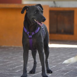 D c480baef cf81 4b96 bf50 0451a5528bdd