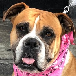 D 91411651 fb76 423c bd1d 93aebc451b47