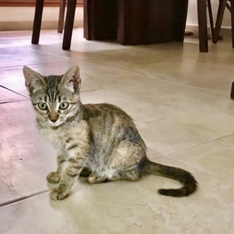 D a935e9a2 dfbe 418b bcf8 26bbcb5e221e