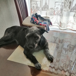 D ab53b61d aed2 44b5 b567 59274ea8a73b