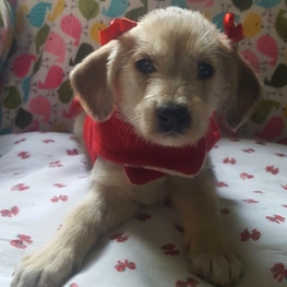 D 34d84e59 0064 47b9 a4de 4831325009cf